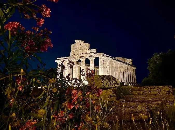 Rosa Couette-café Paestum