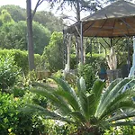 Rosa Panzió 3*